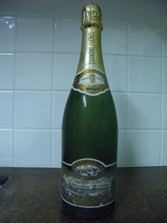 Champagne brut Chanoine Frères Ludes cuvée Marie Leczinska 1973 bis